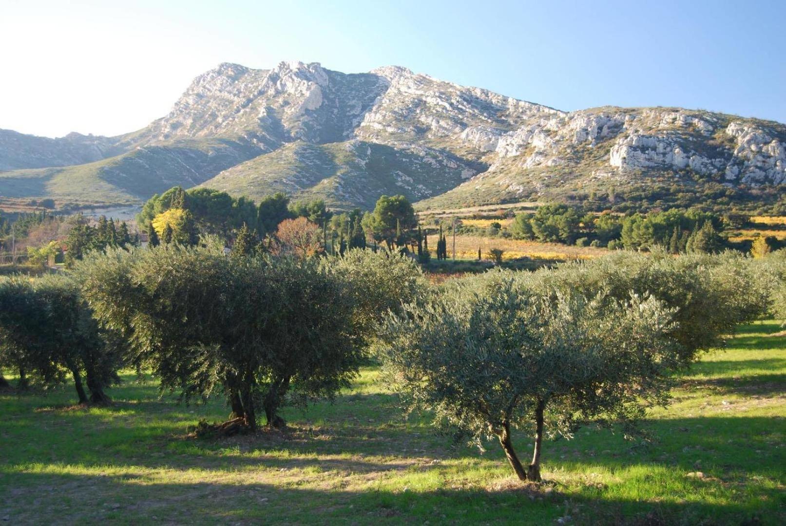Sous Le Soleil Des Alpilles Daire Mouries Dış mekan fotoğraf