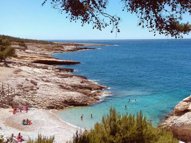 Sous Le Soleil Des Alpilles Daire Mouries Dış mekan fotoğraf